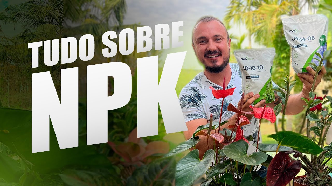 Como utilizar o NPK nas plantas | Tudo sobre este adubo