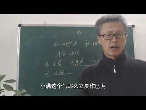 巳的五行