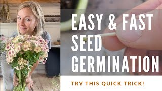 Germinate seeds for the garden with this trick!