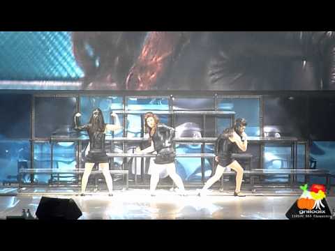 [Fancam] 110130 Super Junior SS3 Singapore - Poker Face + Single Ladies + Crazy In Love