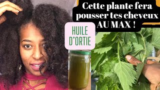 #ortie Comment je fait mon huile d’ortie !