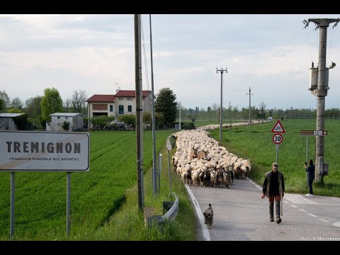 2023 Pastori Mario Perozzo e Alex Ferrai