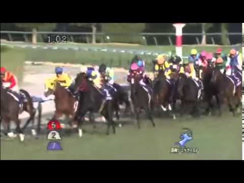 阪神ジュベナイルフィリーズ2014