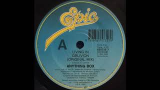 Anything Box - Living In Oblivion (Original Mix) (1990)