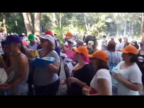 Corporate Teambuilding with Live Entertainment