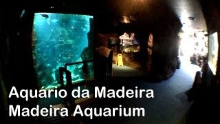 preview picture of video 'Aquário da Madeira | Madeira Aquarium - Porto Moniz'