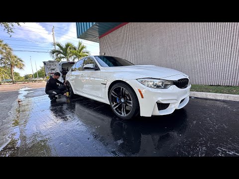 F80 M3 differential bushing replacement and input shaft seal repair.