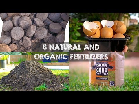 8 Natural and Organic Fertilizers to Grow Big Plants Video