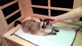 Karen reviews her Clearlight Sauna and how it has helped her autoimmune disease