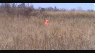 preview picture of video 'Rabbit Hunting in Missouri'