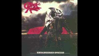 Black Alice - Running Hot, Running Wild