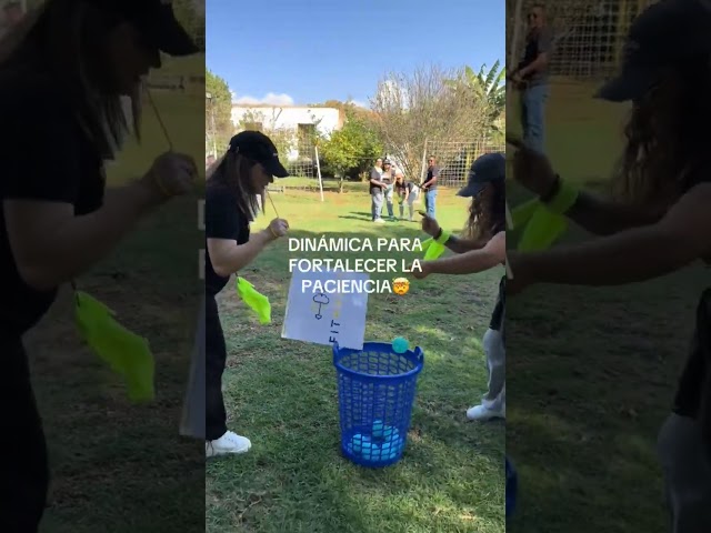 Vídeo relacionado con SVCEQZE Juego de Aprendizaje en Grupo de Trabajo en Equipo, Actividad grupal para Promover el Aprendizaje, Juguetes y Equipos Deportivos para jóvenes y Adultos