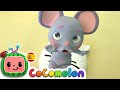 CoComelon En Español Hickory Dickory Dock Canciones Infantiles