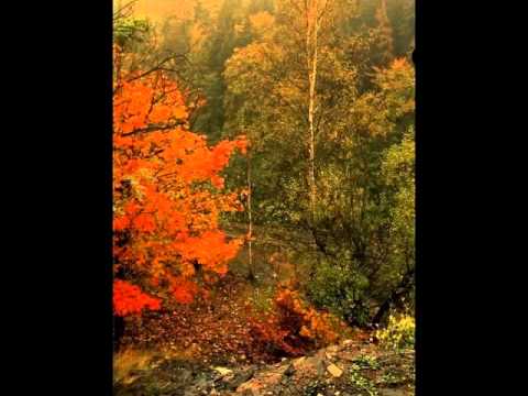 ztracené písně W. Ryvoly - Song o prchavosti voňavek