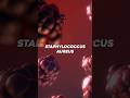 Staphylococcus aureus 🦠 Not Your Average Bug