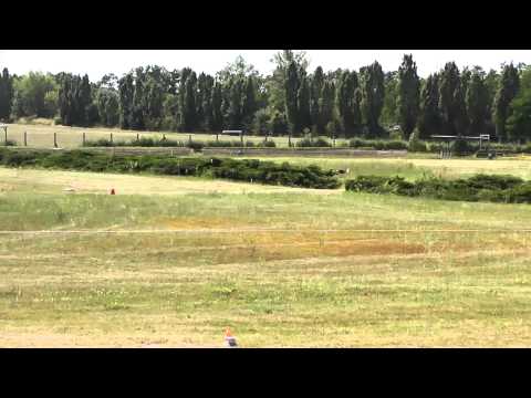 Int. Coursing Greppin 06.07.2014 - El Casar (red) vs Basima (wh) 2 run