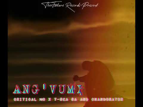 Critical Mc x T-Sea SA And Cnandonator "Ang'vumi" (Official Audio)