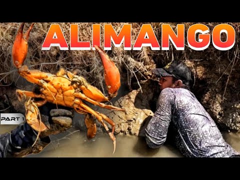 P1 - Nangapa ng Alimango sa Palaisdaan - EP1783