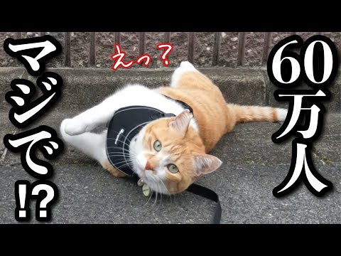 60万人記念ライブ【途中でサーバーダウン↓失礼しました！】