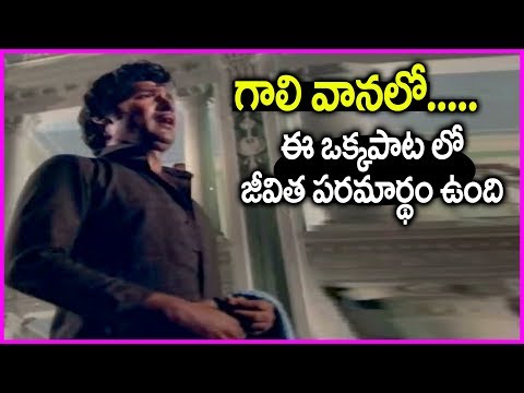 All Time Super Hit Song In Telugu - Gaali Vaanalo Vaana Neetilo Video Song | KJ Yesudas