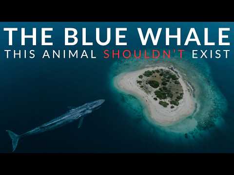 The Animal That Shouldn't Be Real