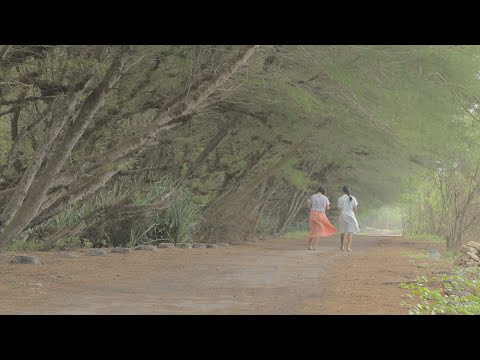 SOWAN | hard subtitle Bahasa Indonesia