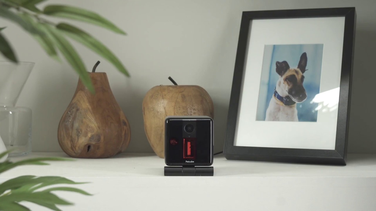 Petcube Play Support Howto Videos