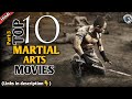 Top 10 Martial Arts Movies in Hindi | Part-3 | 2021 | Watch Top 10