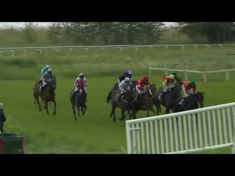 2016.06.11 Svenskt Champion Hurdle - Falconettei