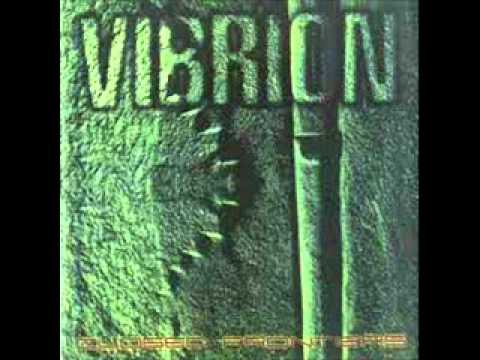 Vibrion-Closed Frontiers