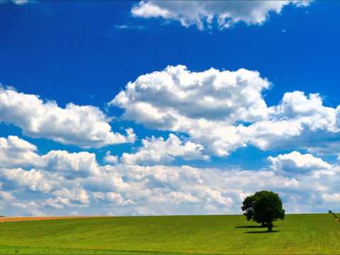 The Green Fields of France - Asynja