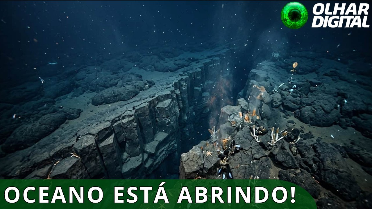  Placa tectônica no fundo do Pacífico tem sinais de uma separação
