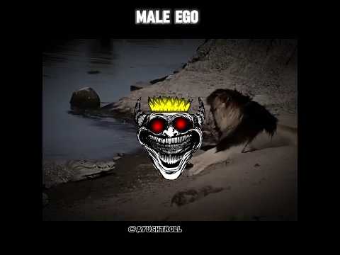 Crocodile vs Lion | Male Ego Face-Off 😤| Who Wins? #scarface #lion #crocodile #shorts