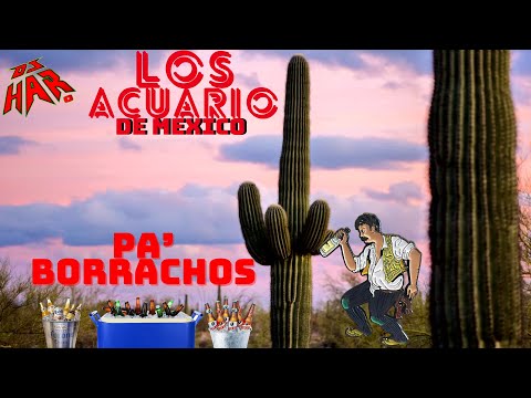 LOS ACUARIO DE MEXICO GRANDES EXITAZOS PA' PISTEAR PURO DESMADRE Y RECORDAR VIEJOS TIEMPOS DJ HAR