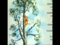 The Mammal Book Part 7 Wart Meet Rafiki I Wann Na Be Like You