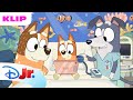 En Historie Til Bingo Bluey Disney Junior Danmark
