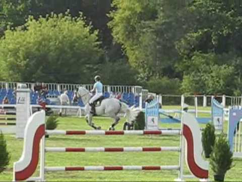 A. Lusina na Faworycie.