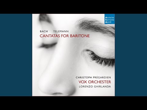 Was gibst du denn, o meine Seele, TWV 1:1510: I. Choral