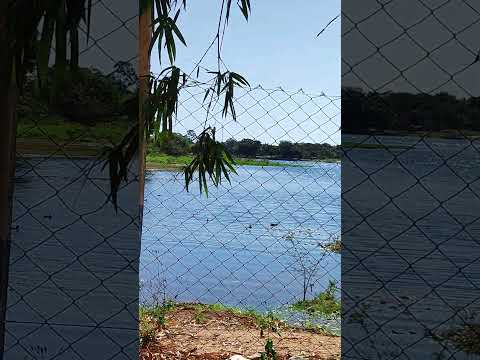 Prainha de Itaguajé Paraná #pescaria #tucunare #paz