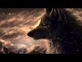 Lone Wolf by Hank Williams Jr- Lyrics