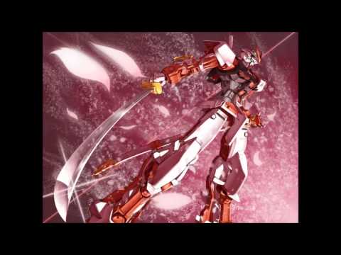 Gundam Seed Astray Zips