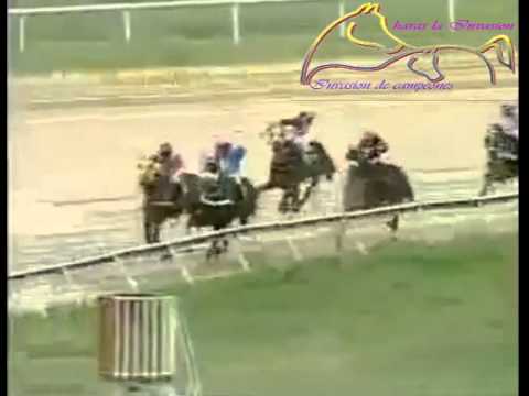 VALENCIA 6 CARRERA, VIERNES 05 DE JUNIO DEL 2015