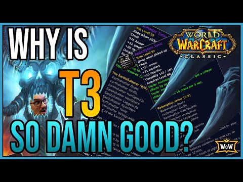 PALADIN & SHAMAN TIER 3: Why Is It So Damn GOOD? | Classic WoW