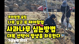사과나무 심는방법  대목노출 꿀팁 나무심고 꼭 할일 대목선택 가을농원  사과나무 이렇게 심는다 [사과나무심는…