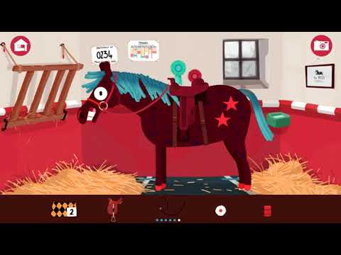 Pony Style Box Video