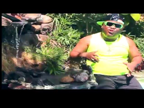 EL IVIS - FIESTA….2016