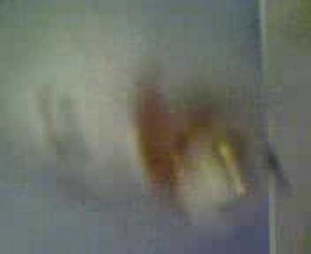 Sexy- kummajaisten bileet