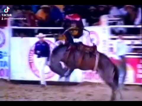 ANTONIO CALHEIROS DE MORAES - RODEIO DE BARRETOS 2001