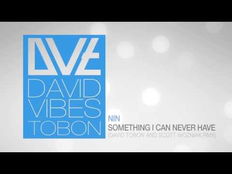 NIN - Something I Can Never Have (David Vibes Tobon & Scott Wozniak Remix)