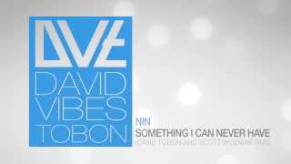 NIN - Something I Can Never Have (David Vibes Tobon & Scott Wozniak Remix)